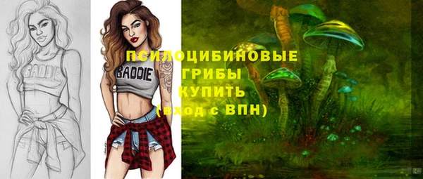 таблы Елизово