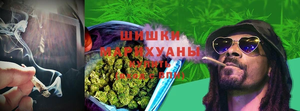 jwh Ельня