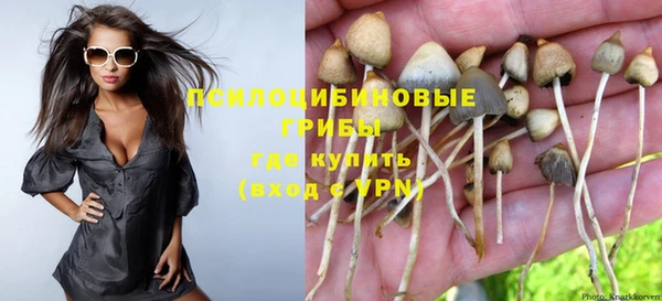 таблы Елизово